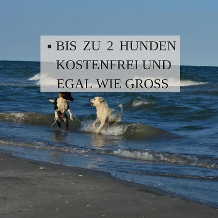 Haus Krabbe: Seaside With Dog-friendly Amenities